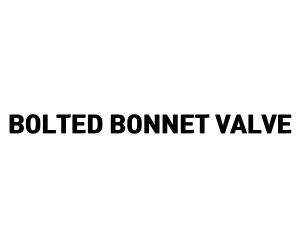 Bolted Bonnet